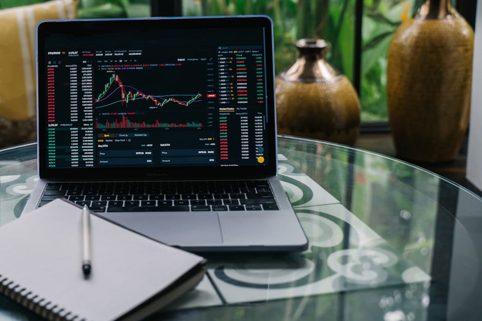 Macro Markets巨汇平台操作指南与核心优势解析