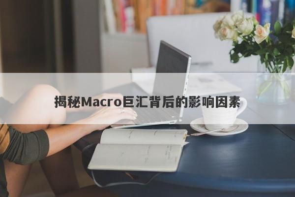 揭秘Macro巨汇背后的影响因素