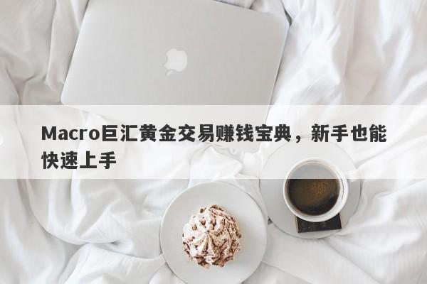 Macro巨汇黄金交易赚钱宝典，新手也能快速上手