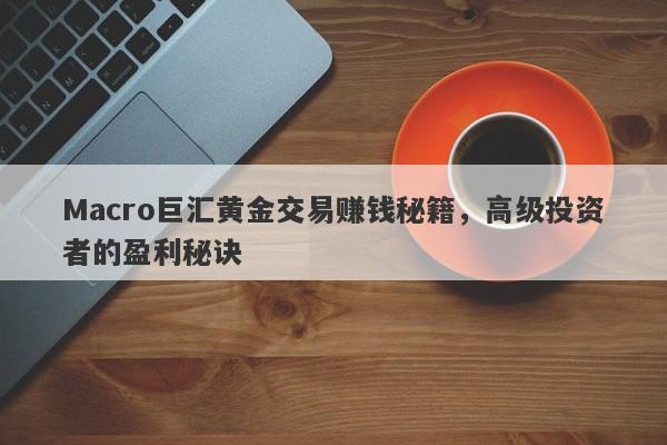 Macro巨汇黄金交易赚钱秘籍，高级投资者的盈利秘诀