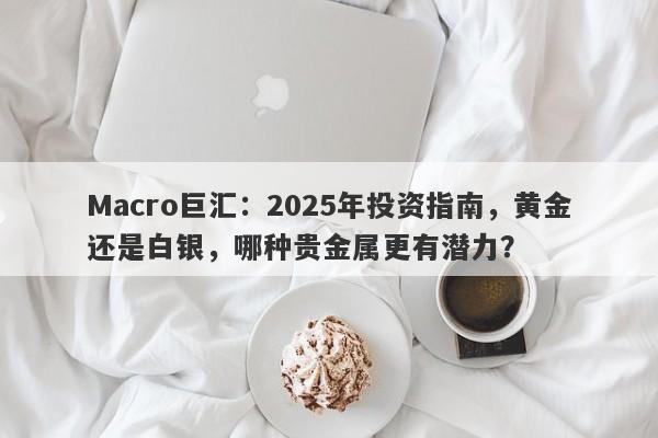 Macro巨汇：2025年投资指南，黄金还是白银，哪种贵金属更有潜力？