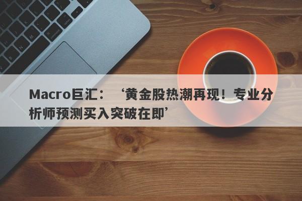 Macro巨汇：‘黄金股热潮再现！专业分析师预测买入突破在即’