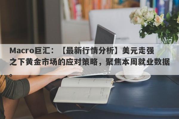 Macro巨汇：【最新行情分析】美元走强之下黄金市场的应对策略，聚焦本周就业数据。