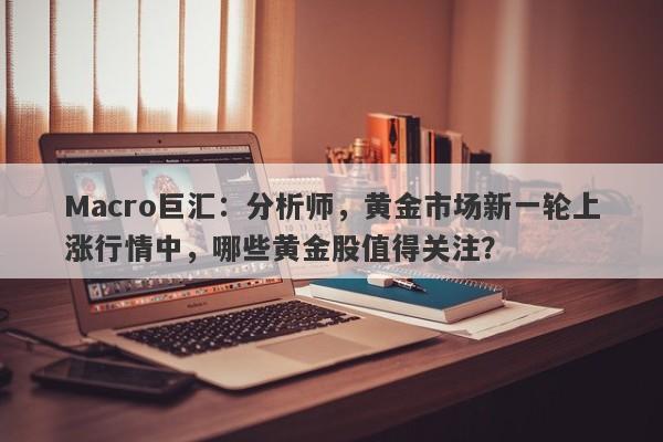 Macro巨汇：分析师，黄金市场新一轮上涨行情中，哪些黄金股值得关注？