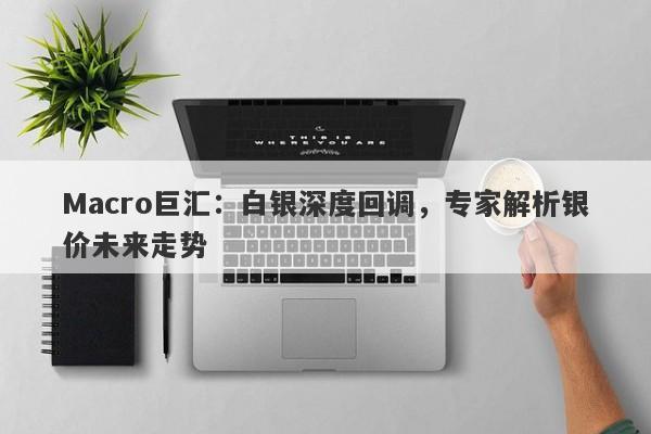 Macro巨汇：白银深度回调，专家解析银价未来走势