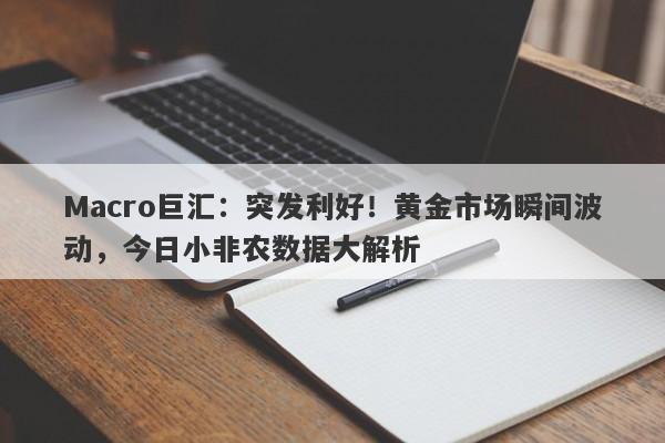 Macro巨汇：突发利好！黄金市场瞬间波动，今日小非农数据大解析