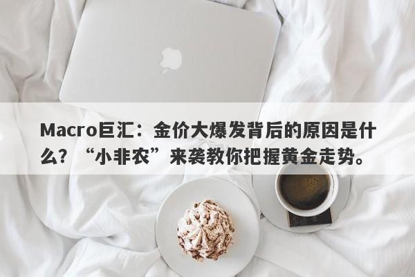 Macro巨汇：金价大爆发背后的原因是什么？“小非农”来袭教你把握黄金走势。
