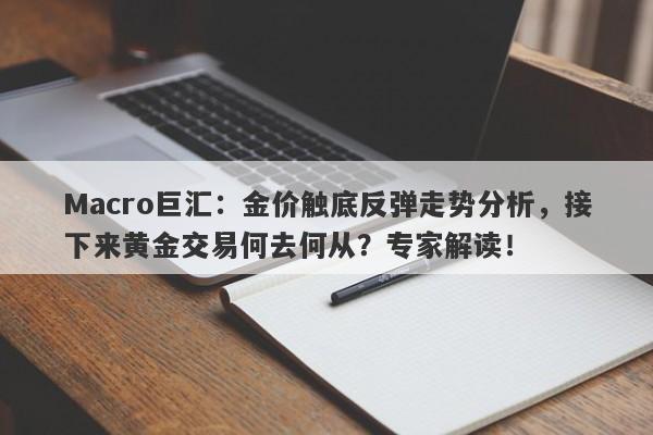 Macro巨汇：金价触底反弹走势分析，接下来黄金交易何去何从？专家解读！