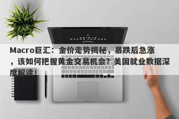 Macro巨汇：金价走势揭秘，暴跌后急涨，该如何把握黄金交易机会？美国就业数据深度解读！