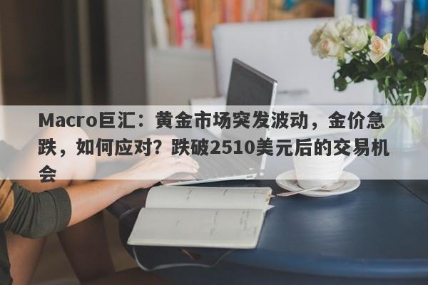 Macro巨汇：黄金市场突发波动，金价急跌，如何应对？跌破2510美元后的交易机会