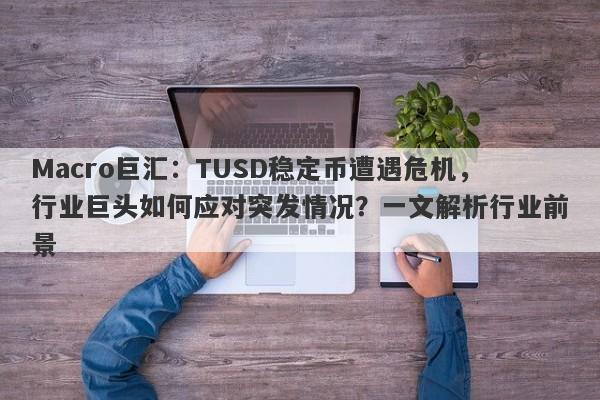 Macro巨汇：TUSD稳定币遭遇危机，行业巨头如何应对突发情况？一文解析行业前景