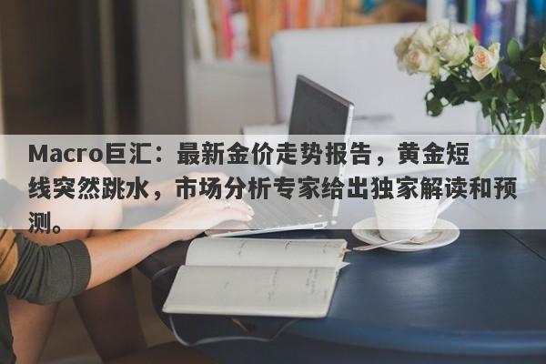 Macro巨汇：最新金价走势报告，黄金短线突然跳水，市场分析专家给出独家解读和预测。
