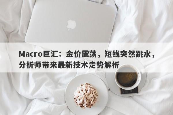 Macro巨汇：金价震荡，短线突然跳水，分析师带来最新技术走势解析
