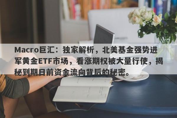 Macro巨汇：独家解析，北美基金强势进军黄金ETF市场，看涨期权被大量行使，揭秘到期日前资金流向背后的秘密。