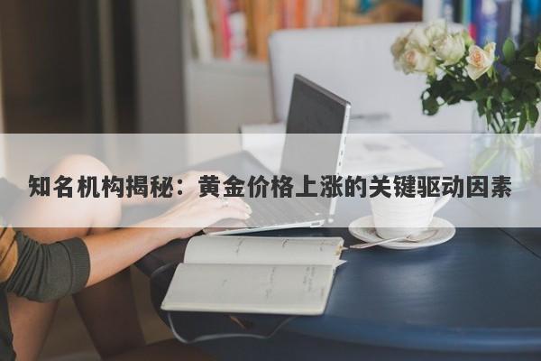知名机构揭秘：黄金价格上涨的关键驱动因素