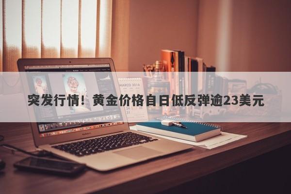 突发行情！黄金价格自日低反弹逾23美元