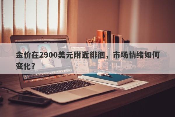 金价在2900美元附近徘徊，市场情绪如何变化？